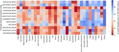 Acid-active proteases to optimize dietary protein digestibility: a step towards sustainable nutrition